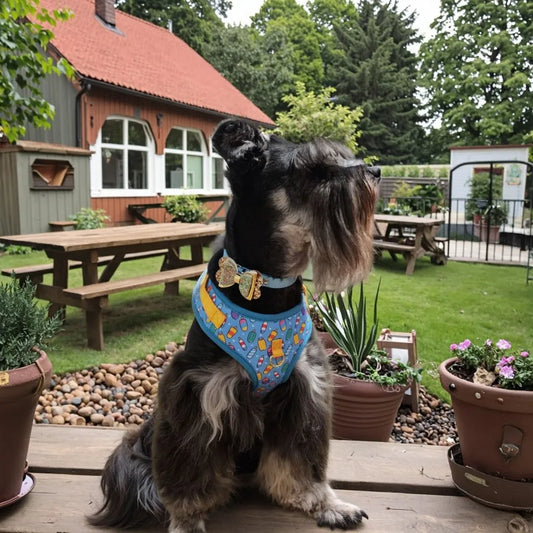 Elegant Blue Ice Cream Harness