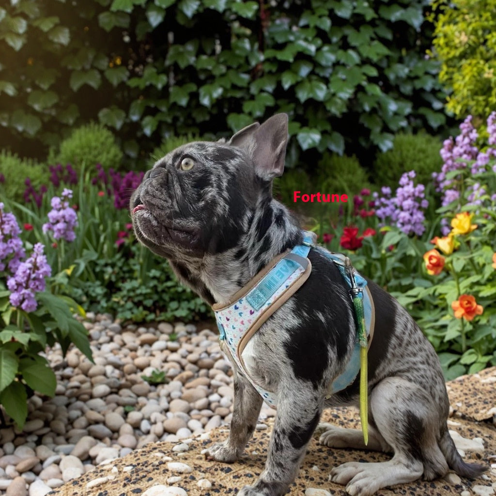 Elegant White Love Heart Harness