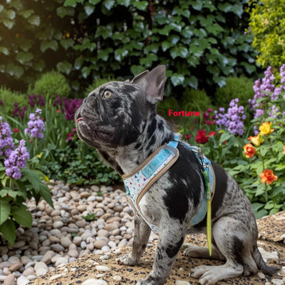 Elegant White Love Heart Harness