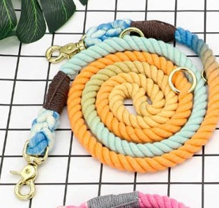 Elegant Doble dog Leash