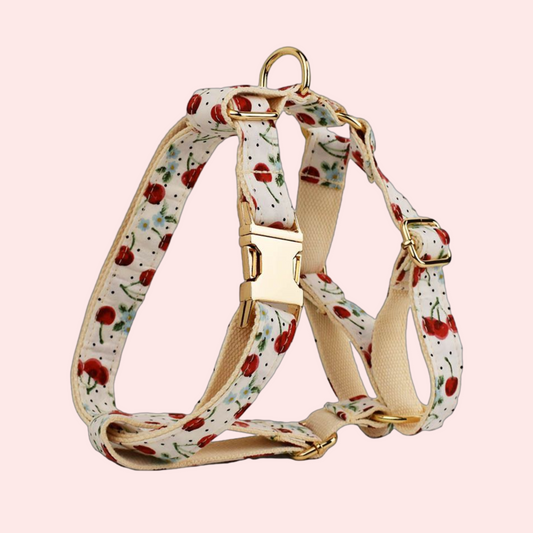 Red Cherry Adjustable Dog Harness