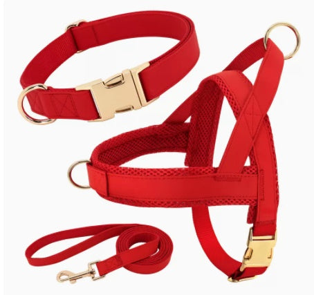 Personalized Red Comfort Harness Set