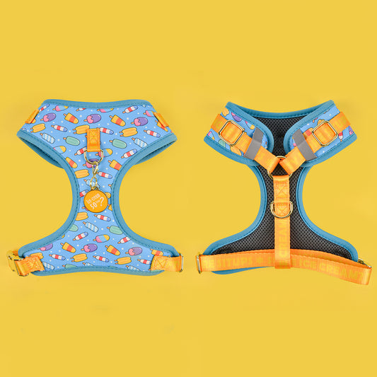 Elegant Blue Ice Cream Harness